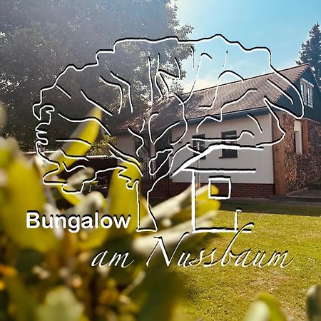 Bungalow Am Nussbaum Olbersdorf 外观 照片